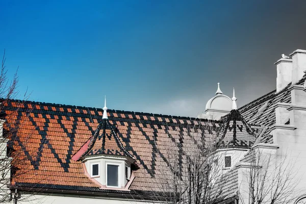 Чистые черепичные крыши с рисунком — стоковое фото