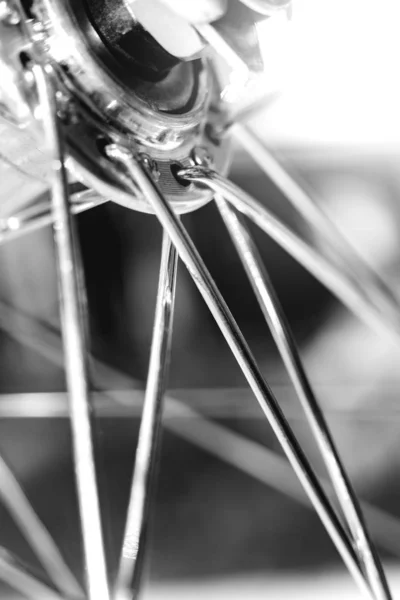 Bicycle front wheel with spokes — Stock Photo, Image