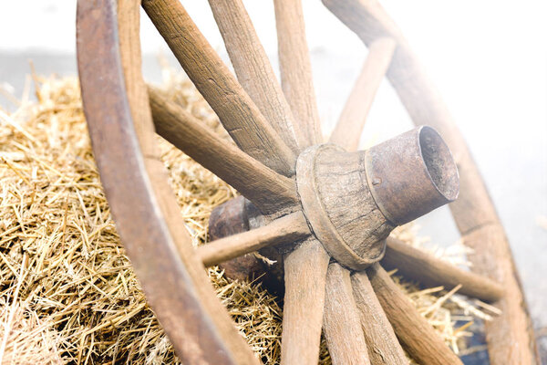 Wooden wheel from the cart