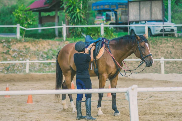 女性のトレーナーは乗馬学校で飼いならされたの若い馬を訓練します — ストック写真