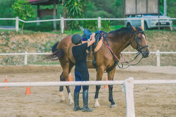 Vrouwelijke Trainer Opleiding Van Het Jonge Paard Voor Tamme Manege — Stockfoto