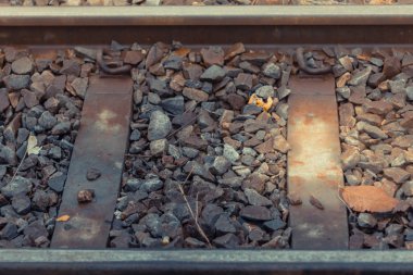 Dünya Savaşı'ndan bu yana kullanılan parça eski tren-sığ derinlik-in tarla