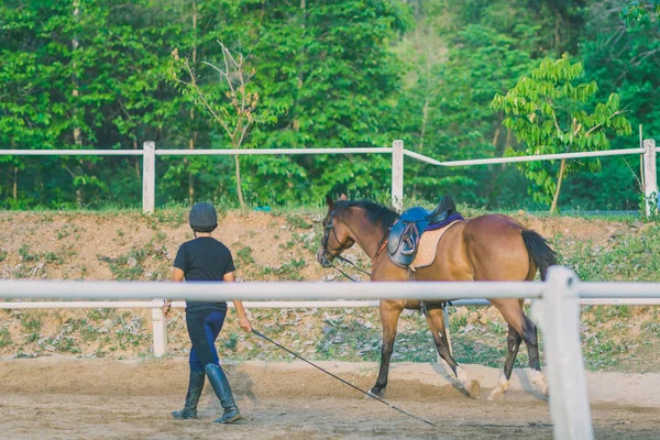 Vrouwelijke Trainer Opleiding Van Het Jonge Paard Voor Tamme Manege — Stockfoto