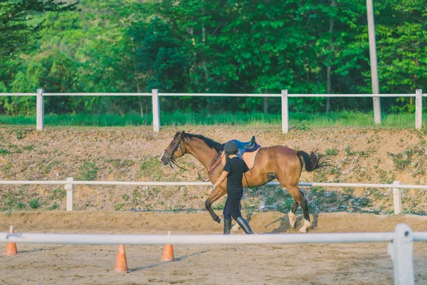 Vrouwelijke Trainer Opleiding Van Het Jonge Paard Voor Tamme Manege — Stockfoto