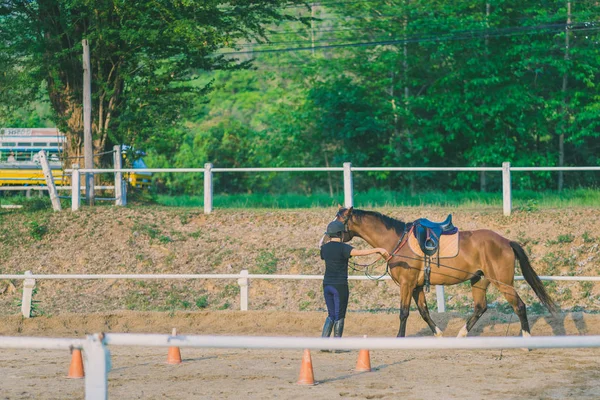 Vrouwelijke Trainer Opleiding Van Het Jonge Paard Voor Tamme Manege — Stockfoto