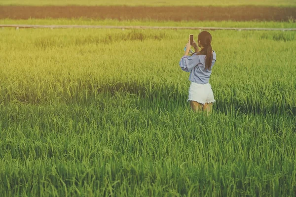 여자의 필드에 스마트폰으로 사진을 찍을합니다 — 스톡 사진