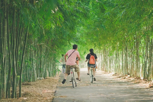 Szczęście Pary Jeździć Rowerze Parku Bambusa — Zdjęcie stockowe