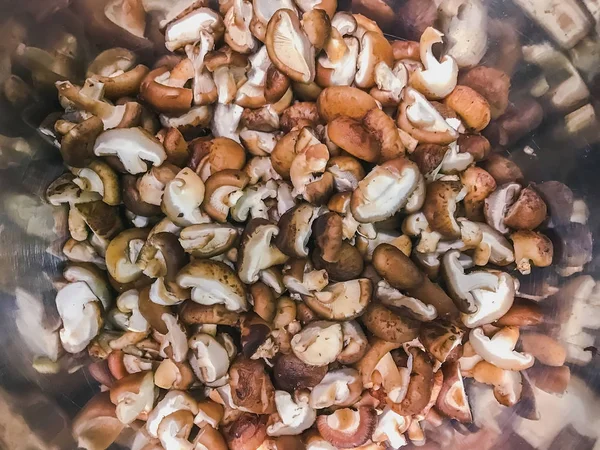 Mushrooms backgound, Mushrooms for cook in the kitchen.