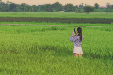 Genç kadın arkadan görünüm smartphone içinde pirinç tarlaları tarafından bir fotoğraf çekmek