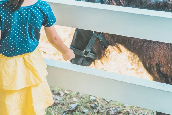 Little girl feeding horse in her farm through a white wooden fence.