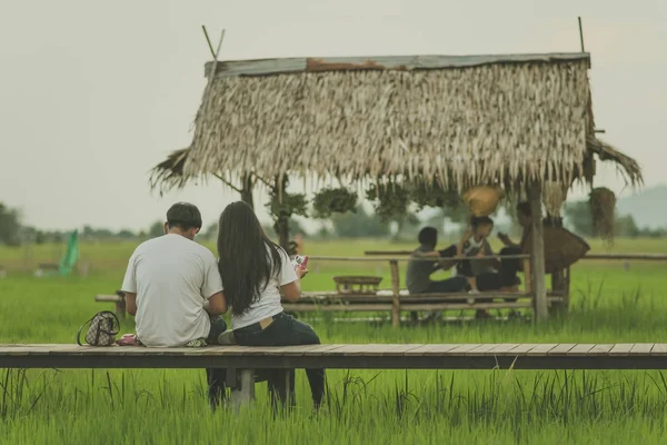 Asian people relax and take a photography on wooden bridge in the rice field in evening