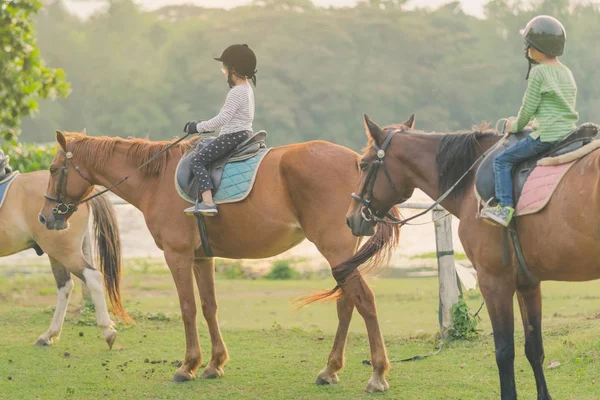 Crianças Aprendem Montar Cavalo Perto Rio Antes Pôr Sol — Fotografia de Stock