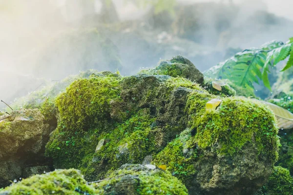 Verdes Mos Pedra Enquanto Mola Água Espalhando Jardim — Fotografia de Stock