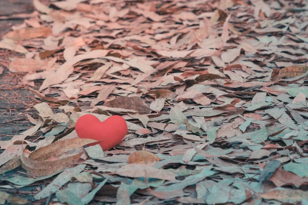 Una Pequeña Almohada Roja Del Corazón Cae Pila Seca Hoja —  Fotos de Stock