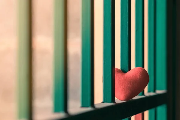 Little Red Heart Pillow Green Steel Fence — Stock Photo, Image