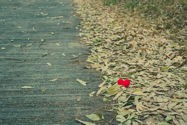 Una Pequeña Almohada Roja Del Corazón Cae Pila Seca Hoja — Foto de Stock