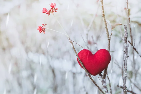 Ένα Μικρό Κόκκινο Καρδιά Μαξιλάρι Ξηρή Δέντρο — Φωτογραφία Αρχείου
