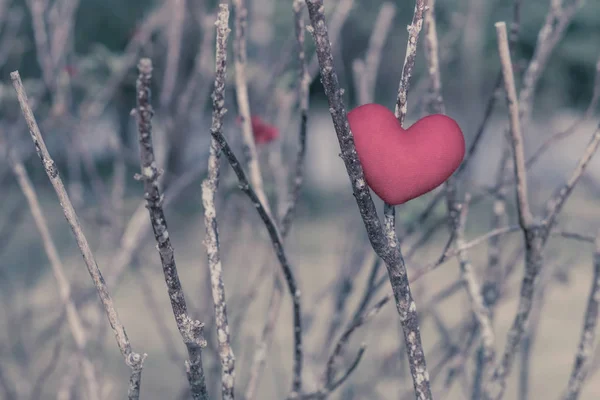 Biraz Kırmızı Kalp Yastık Kuru Ağaç Üzerinde — Stok fotoğraf
