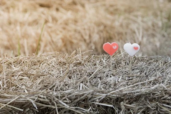 Two little heart candles on rice straw in paddy field.
