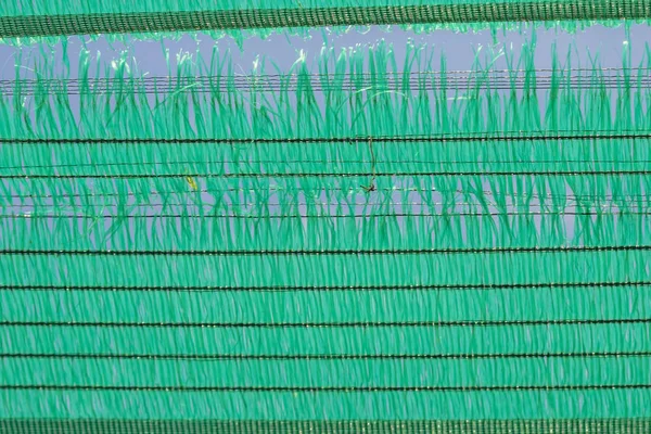 Eski Yeşil güneş koruma mesh ve eksikliği. Güneş ışığı engel olamaz.