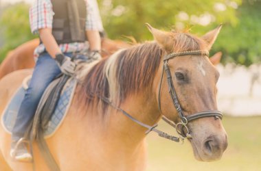 Gün batımından önce Nehri yakınında bir at binmeyi öğrenmek.