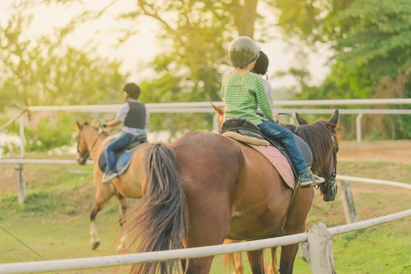 Crianças Aprendem Montar Cavalo Perto Rio Antes Pôr Sol — Fotografia de Stock