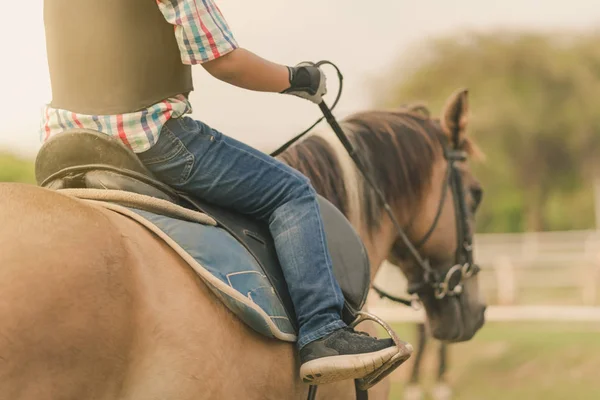 Дети Учатся Ездить Лошади Реки Заката — стоковое фото