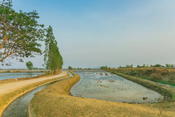 Vista del manejo del agua en los campos de arroz desde el canal de riego antes de plantar — Foto de Stock
