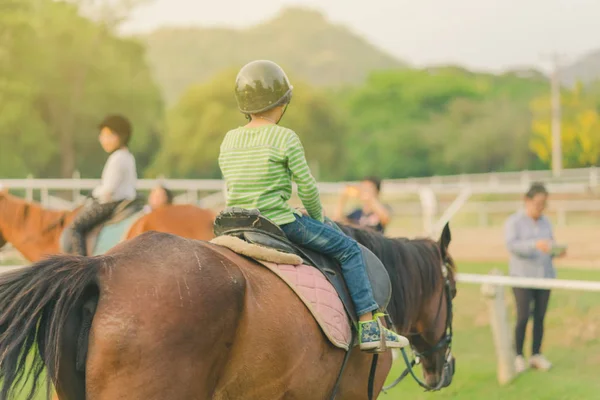 Дети учатся ездить на лошади у реки до заката . — стоковое фото