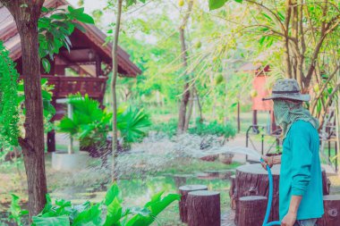  Hortumu ile bitkilerin sulama ve bahçede çalışan üst düzey adam.