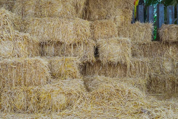 Δέματα από άχυρο στο υπόστεγο για ταΐζοντας άλογα — Φωτογραφία Αρχείου