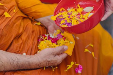 Budist rahip ve Tayland Songkran Festivali Budist tapınağında nimet verir su dökme insanlar.