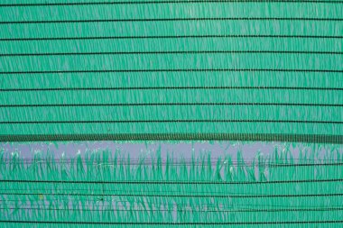 Eski Yeşil güneş koruma mesh ve eksikliği. 