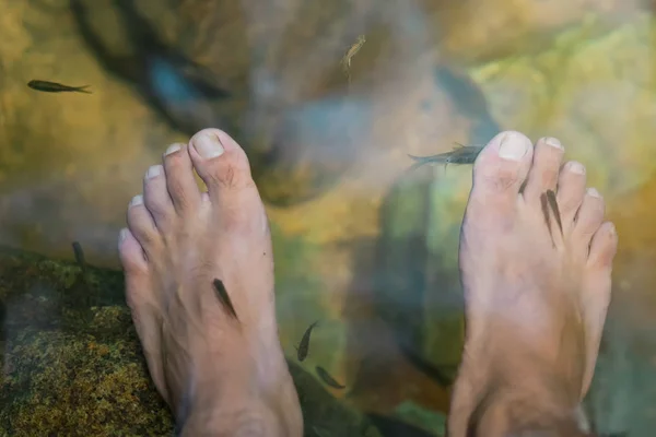 Молодой человек, проходящий курс рыбной спа-терапии и массаж ног в водопаде . — стоковое фото