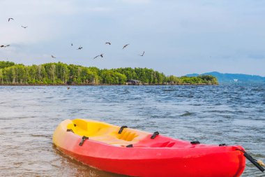 Denizde yüzen kayıklar ile yiyecek bulmak için uçarken kırmızı şahinlerin güzel manzara