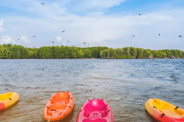 Beau paysage des faucons rouges tout en volant pour trouver de la nourriture avec des kayaks flottant dans la mer au village de Bang Chan — Photo