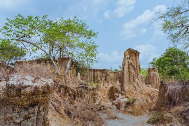 Zeminden akan suyun güzel manzarası erozyona ve toprağın çökmesine doğal bir tabaka haline gelmiştir.