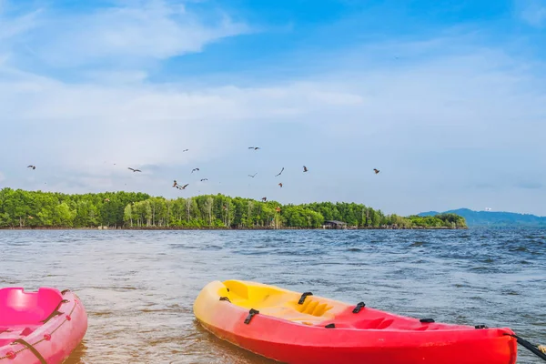 Bela paisagem dos falcões vermelhos enquanto voam para encontrar comida com caiaques flutuando no mar — Fotografia de Stock