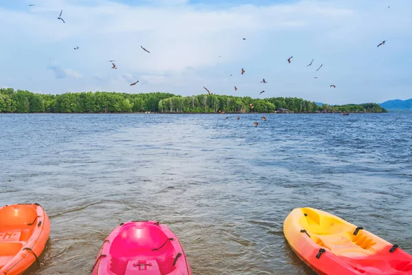 Beau paysage des faucons rouges tout en volant pour trouver de la nourriture avec des kayaks flottant dans la mer — Photo