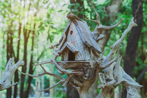Ninho de madeira feito à mão da casa do pássaro no parque público  , — Fotografia de Stock
