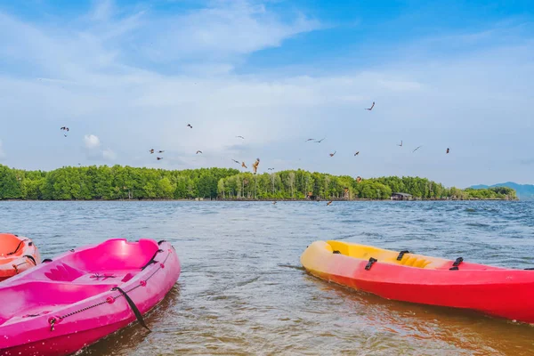 Schöne Landschaft der roten Falken beim Fliegen, um Nahrung mit Kajaks zu finden, die im Meer bei Bang Chan Dorf schwimmen — Stockfoto