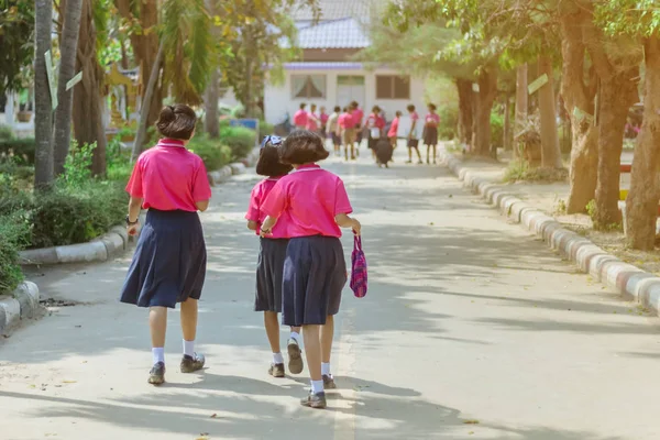 Vista posterior de la felicidad alumnas de primaria en camisa rosa y falda azul caminan a las aulas con sus amigos . — Foto de Stock