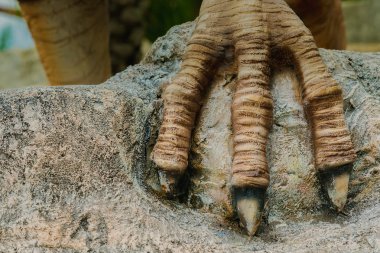 Renkli ve dinazor modelinin desenleri çimentoyla yaratılmış.