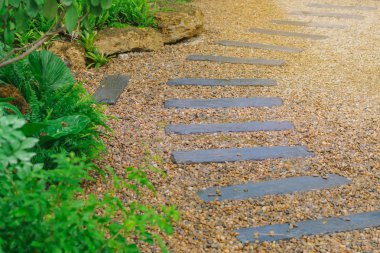Bahçe ve yol yanında yeşil çalı yürüyüş yolu görünümü. 
