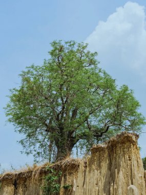 Zeminden akan suyun güzel manzarası erozyona ve toprağın çökmesine doğal bir tabaka haline gelmiştir.
