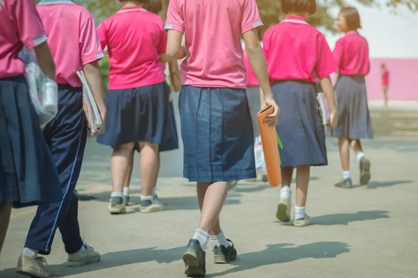 Indietro vista della felicità primaria ragazza studenti in camicia rosa e gonna blu a piedi per aule con i loro amici . — Foto Stock