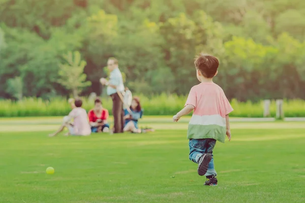 Kinder genießen das Spiel mit dem kleinen Ball auf der grünen Wiese — Stockfoto