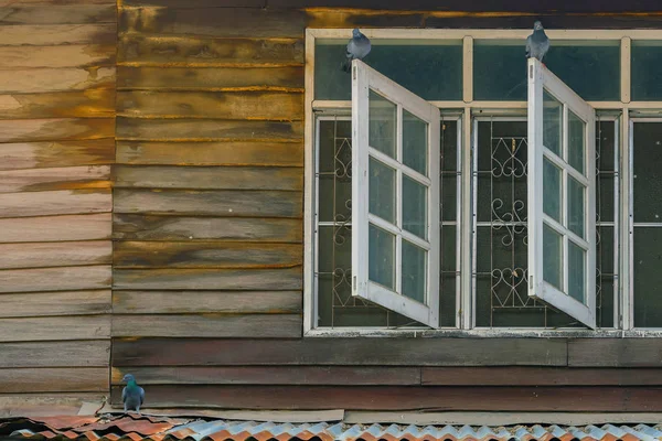 Palomas en la vieja ventana de madera de la antigua casa de madera. —  Fotos de Stock
