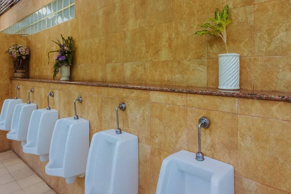 Konstgjorda blad i krukor för dekoration placeras på hyllan ovanför urinoaren. — Stockfoto