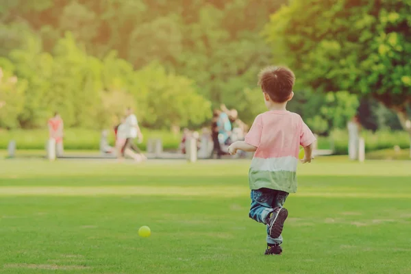 Kinder genießen das Spiel mit dem kleinen Ball auf der grünen Wiese — Stockfoto